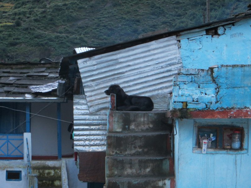 [Photograph: Kalu of the mountains]