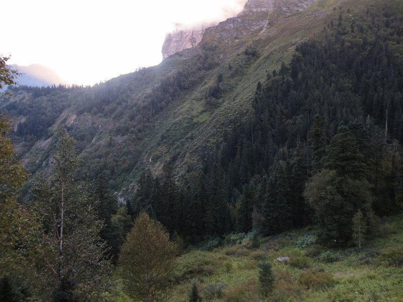 [Photograph: Dibrugheta]