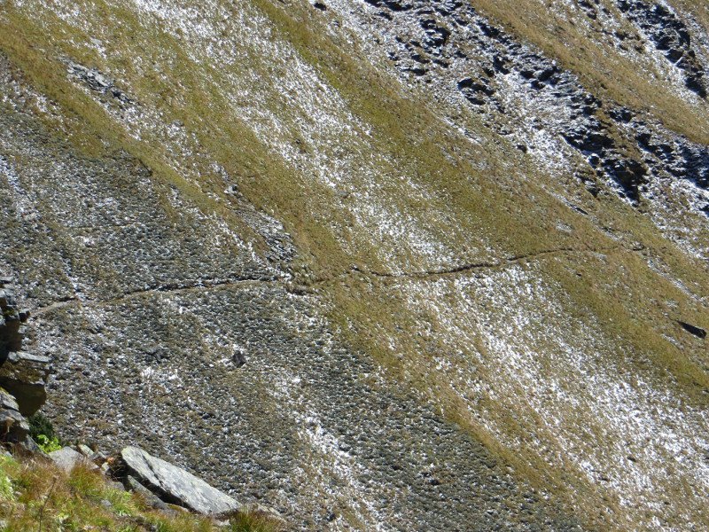 [Photograph: Trail near Ranikhola]