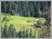 [Thumbnail: Dibrugheta from above]