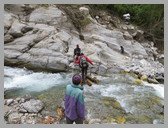 [Thumbnail: Dibrugheta Nala]