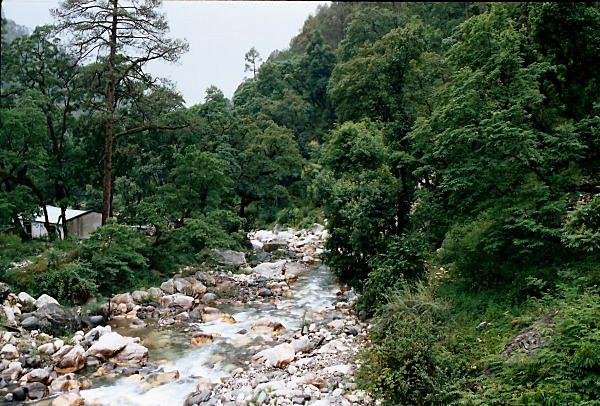 [Photograph: The Assi Ganga]