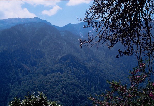 [Photograph: Bevra to Katcheru]