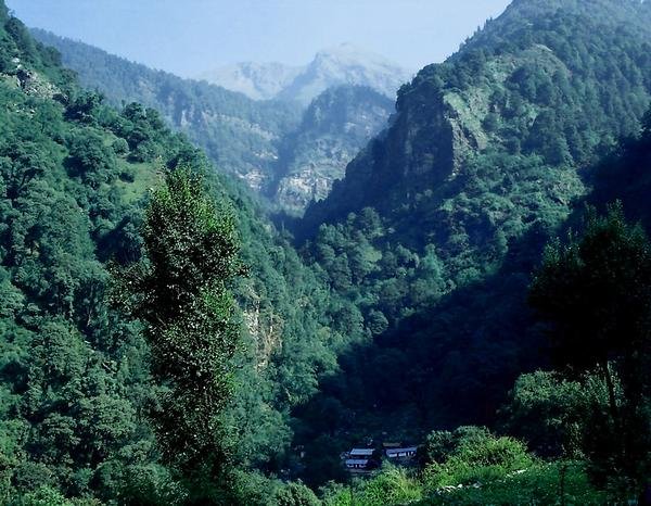 [Photograph: View of Bevra]