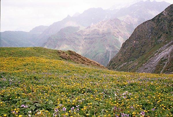 [Photograph: Darwa Pass]