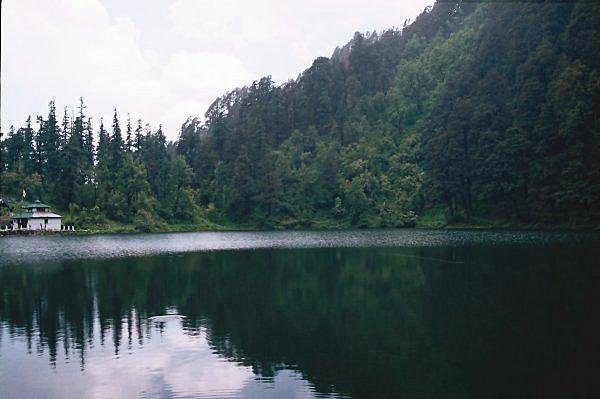 [Photograph: Dodital]