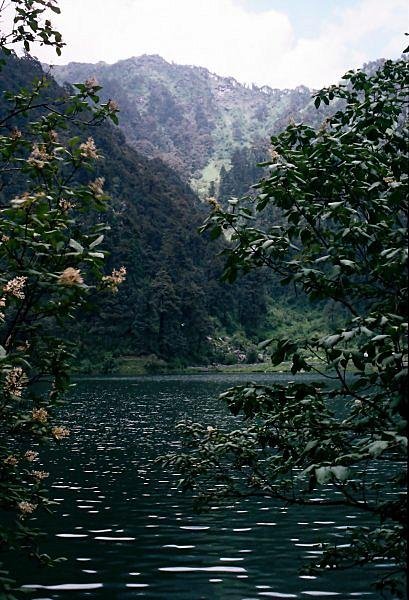 [Photograph: Dodital]