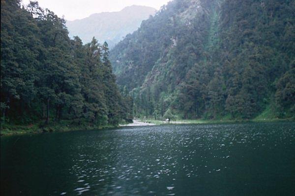 [Photograph: Dodital]