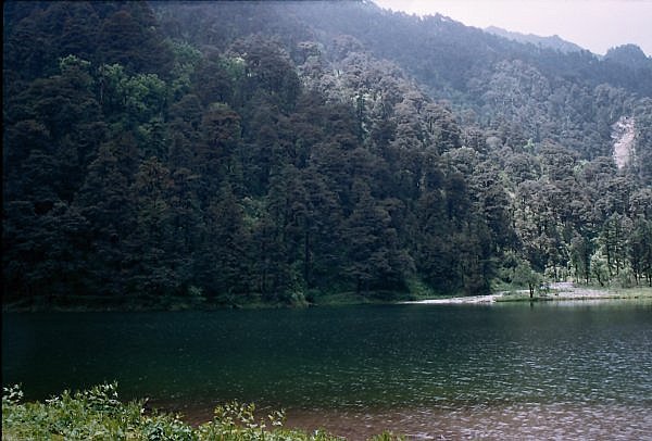 [Photograph: Dodital]