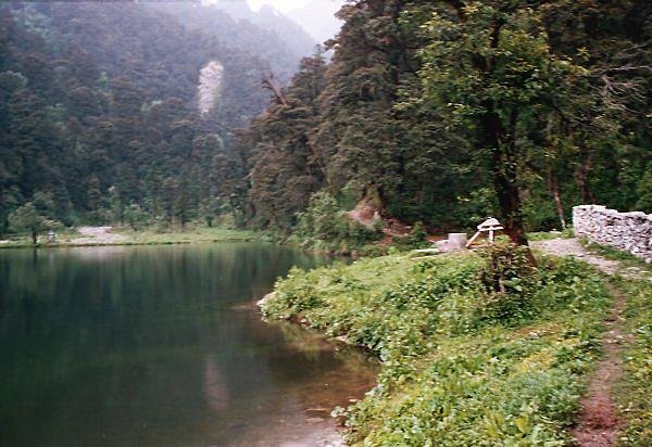 [Photograph: Dodital]