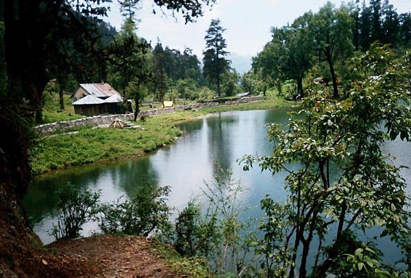 [Photograph: Dodital]