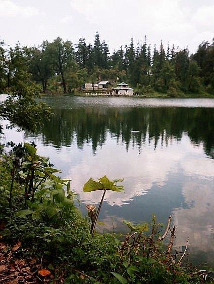 [Photograph: Dodital]