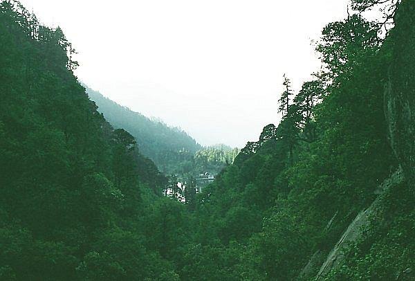 [Photograph: Dodital]