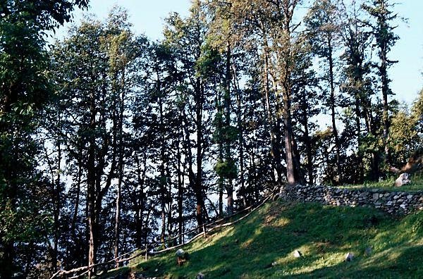 [Photograph: Majhi camp site]