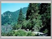 [Thumbnail: Bevra to Katcheru]