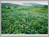 [Thumbnail: Darwa Pass]