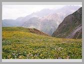 [Thumbnail: Darwa Pass]