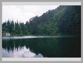 [Thumbnail: Dodital]