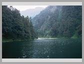 [Thumbnail: Dodital]