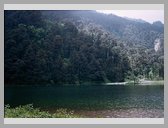 [Thumbnail: Dodital]