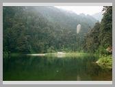 [Thumbnail: Dodital]