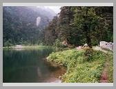 [Thumbnail: Dodital]