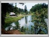 [Thumbnail: Dodital]