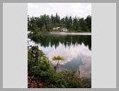 [Thumbnail: Dodital]