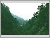 [Thumbnail: Dodital]