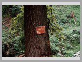 [Thumbnail: Dhaba at Katcheru]