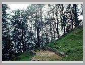 [Thumbnail: Majhi camp site]