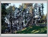 [Thumbnail: Majhi camp site]