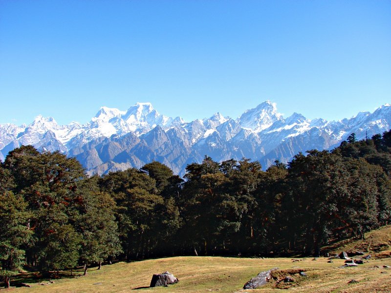 [Photograph: View from Gorson bugiyal]