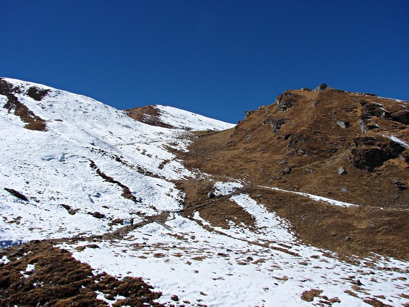 [Photograph: Trail to Kuari]