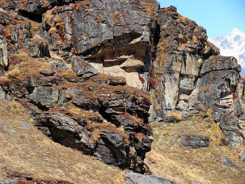 [Photograph: Colours on the trail]