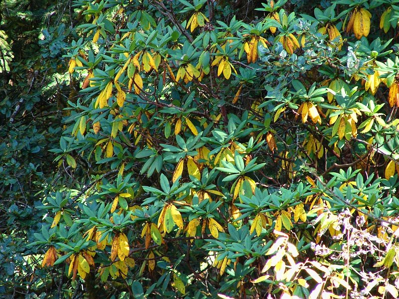 [Photograph: Autumn colours]