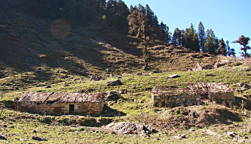 [Photograph: Chaans at Sartoli]
