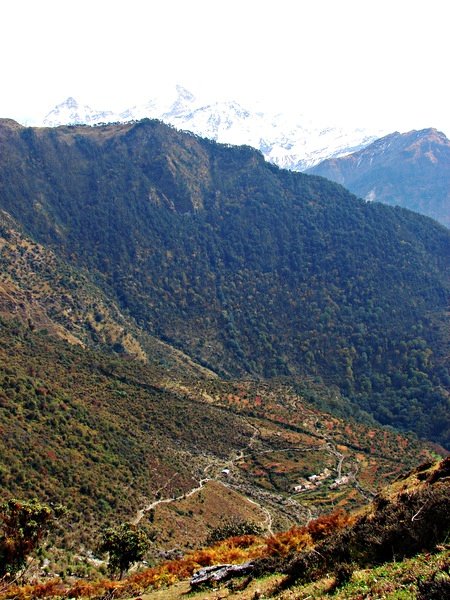 [Photograph: Panha in the valley]