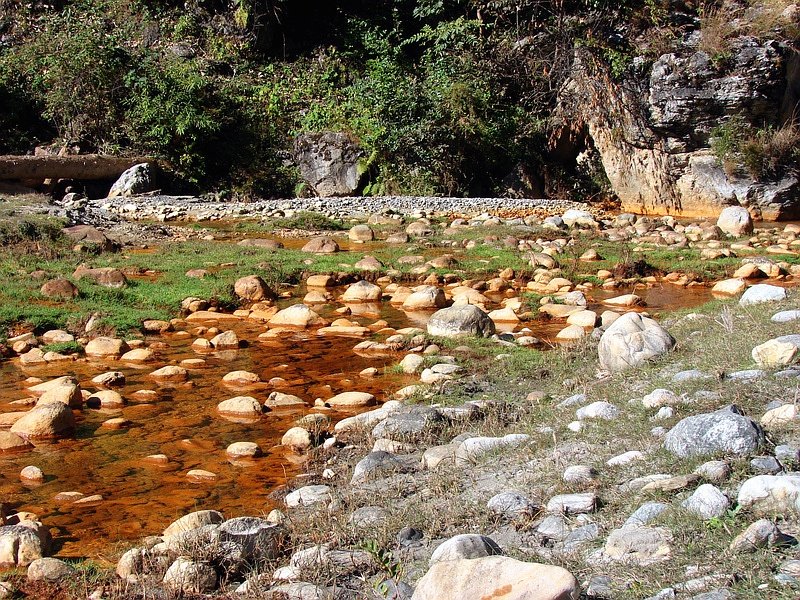 [Photograph: Birahi colours]