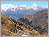 [Thumbnail: Nilkanth]