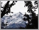 [Thumbnail: Nanda Ghunti]