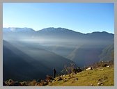 [Thumbnail: Sunbeams]