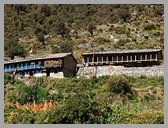 [Thumbnail: Panha houses]