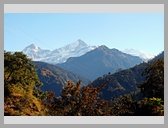 [Thumbnail: Farewell]