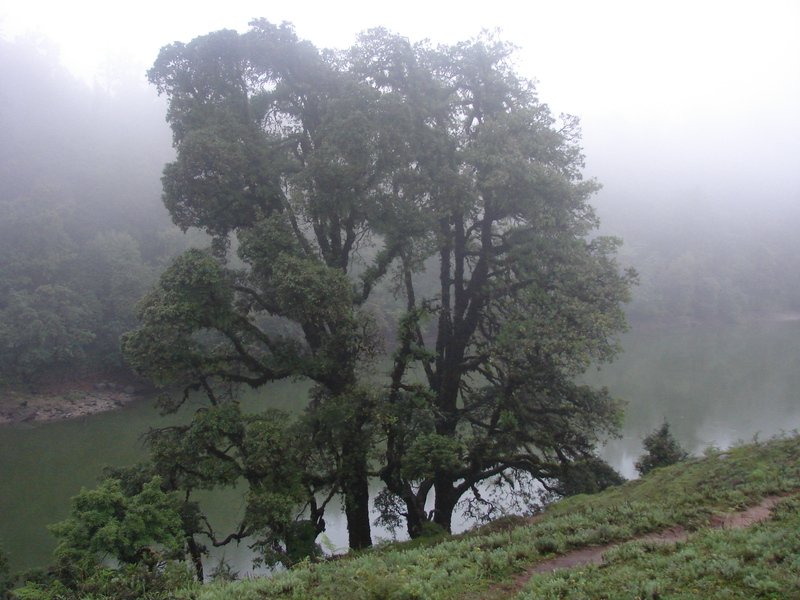 [Photograph: Devriya Tal]