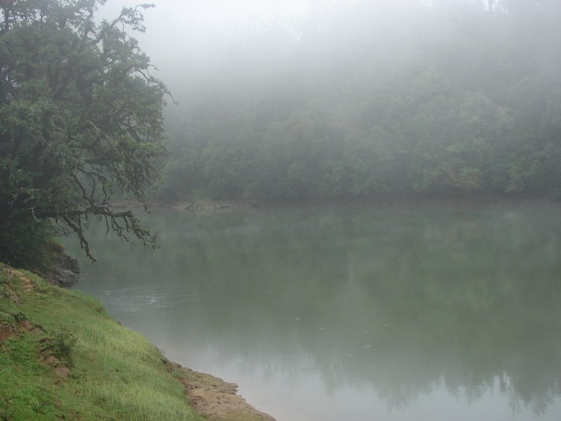 [Photograph: Devriya Tal]