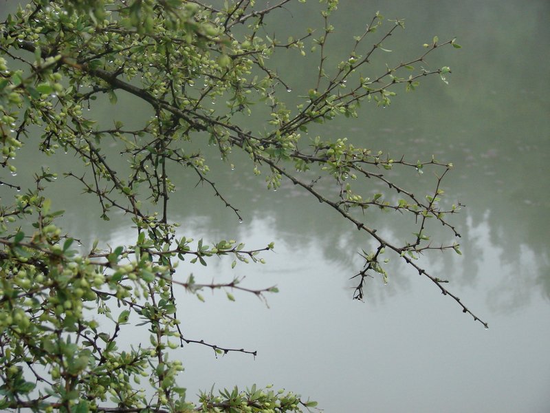 [Photograph: Devriya Tal]