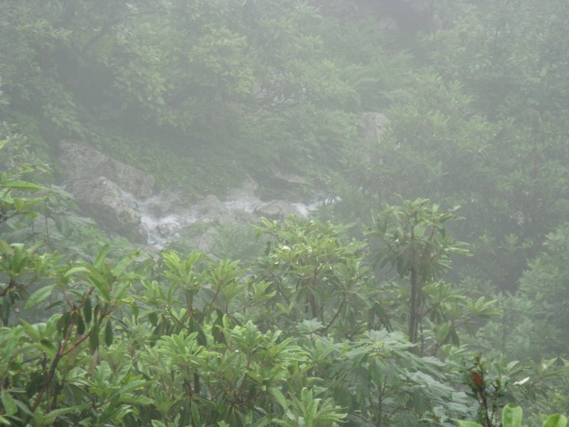 [Photograph: From the trail to Tungnath]
