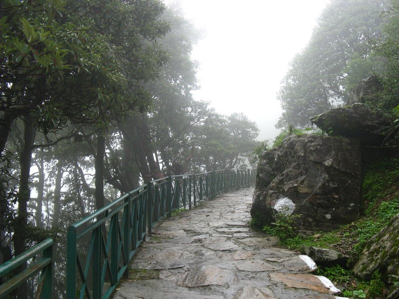 [Photograph: Trail to Tungnath]