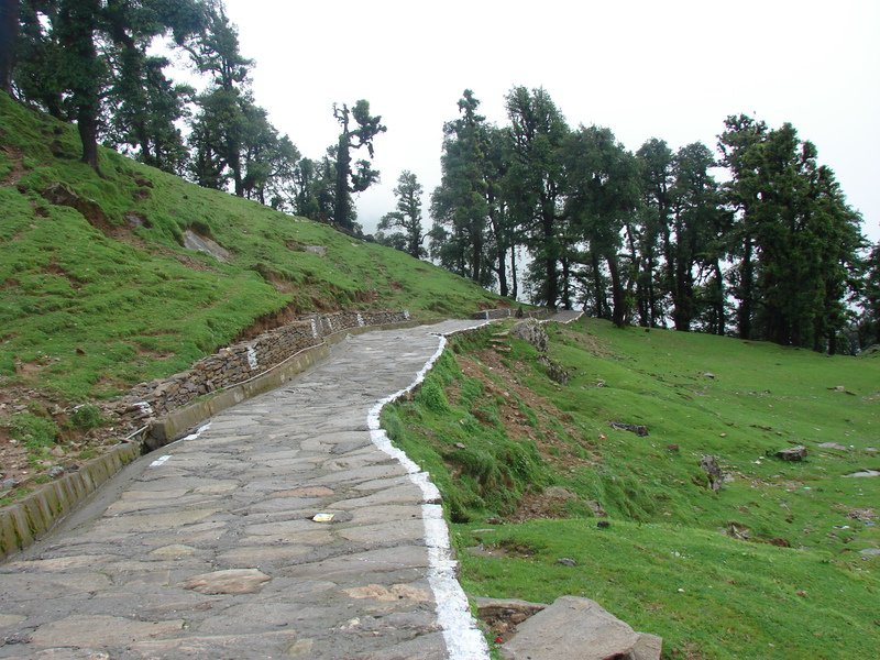 [Photograph: Trail to Tungnath]